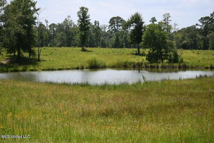 Property Photo:  Tba County Line Road Road  MS 39577 