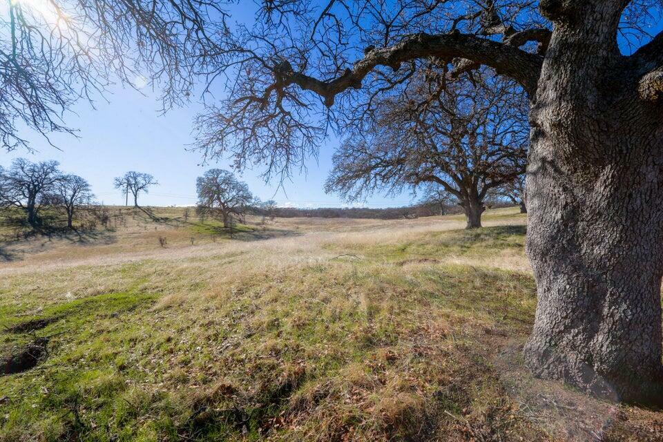 Lot 2 Happy Valley Trail  Red Bluff CA 96022 photo