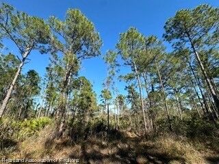 Property Photo:  609 Pershing Avenue  FL 33852 