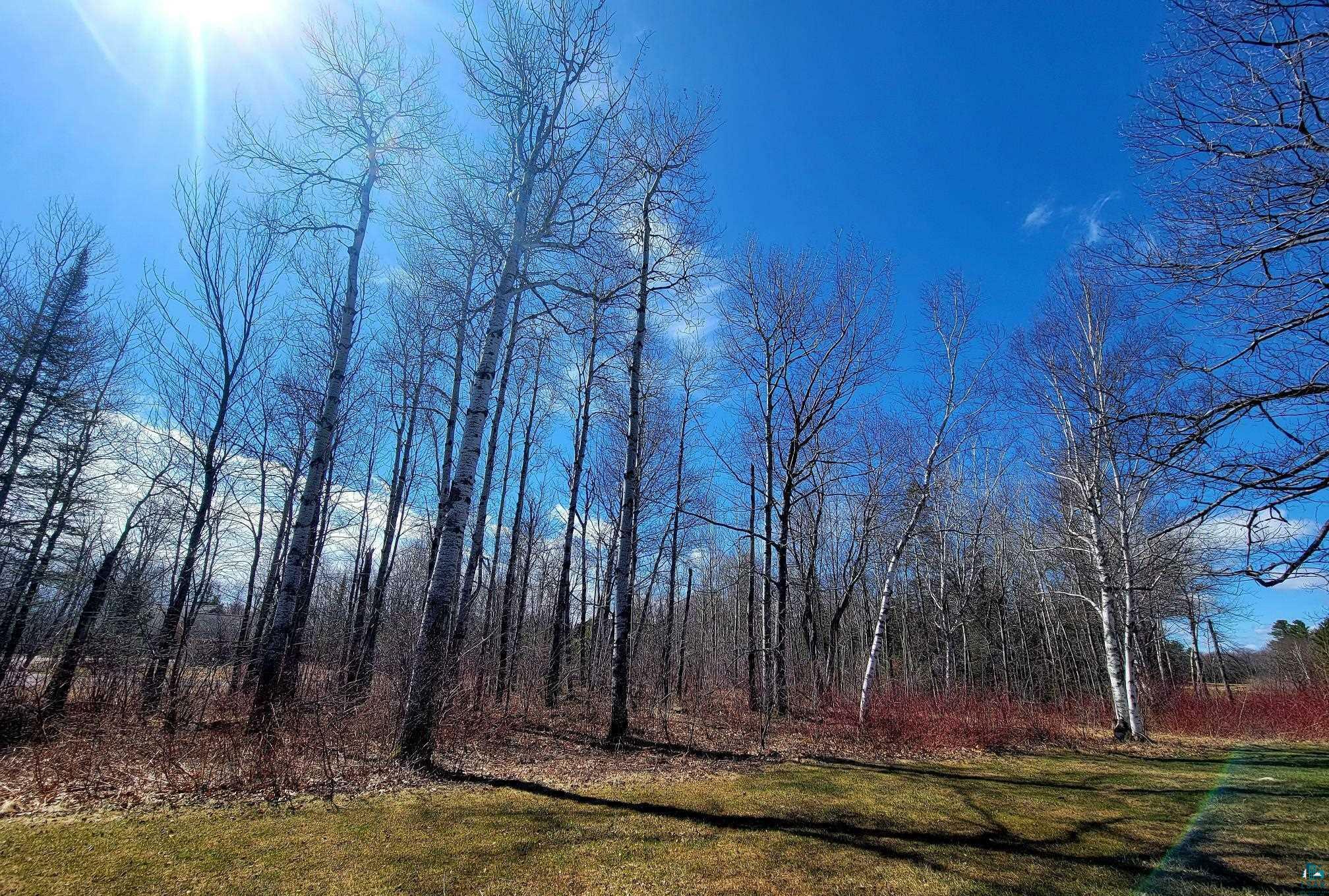 Property Photo:  8566X Eagle Run Lot 18 And Part Of 19 Apostle Highlands Oak  WI 54814 