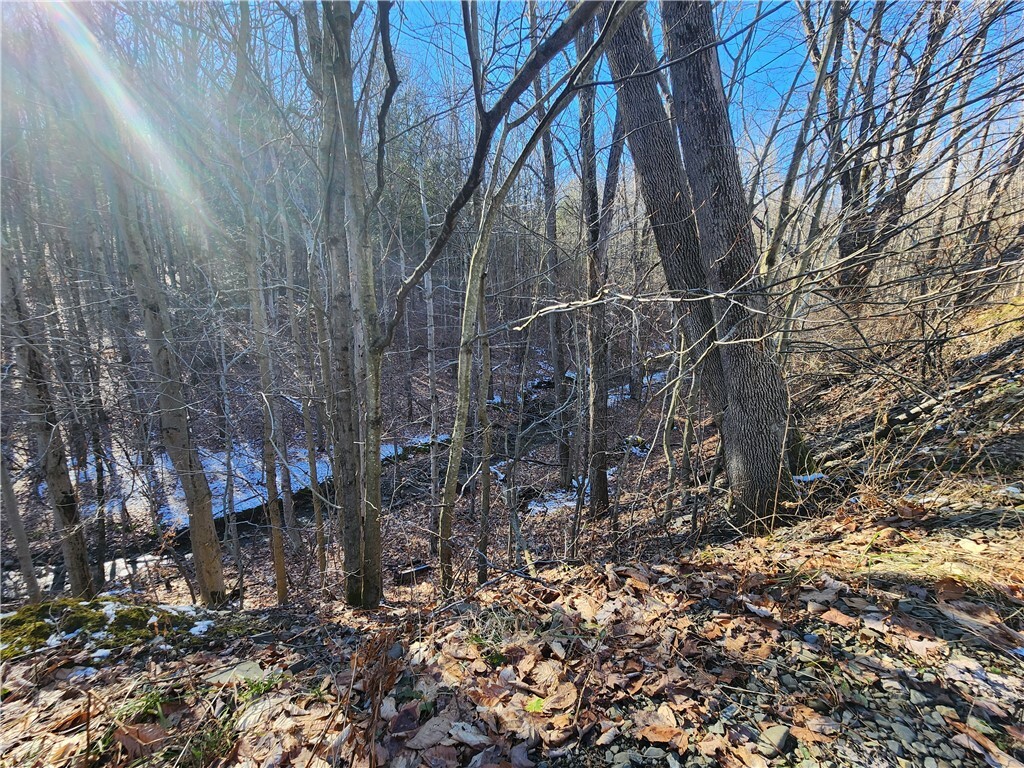 Property Photo:  0 Robertson Road  NY 14889 