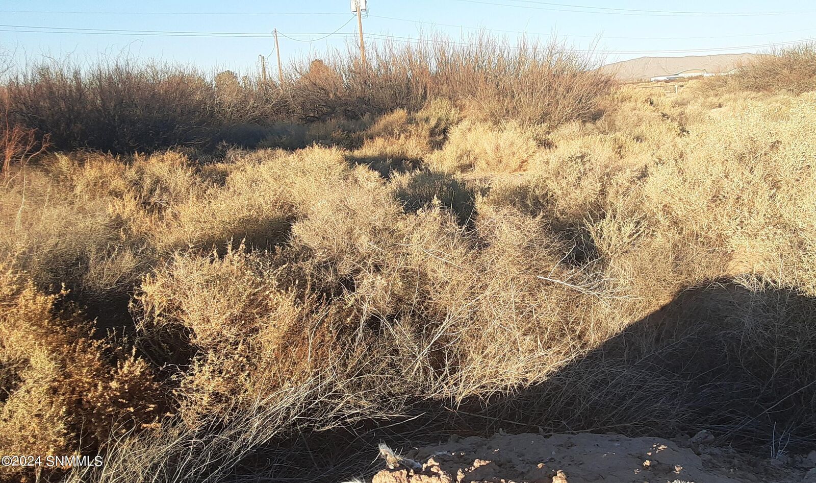 Property Photo:  141 Shrode Road  NM 88024 