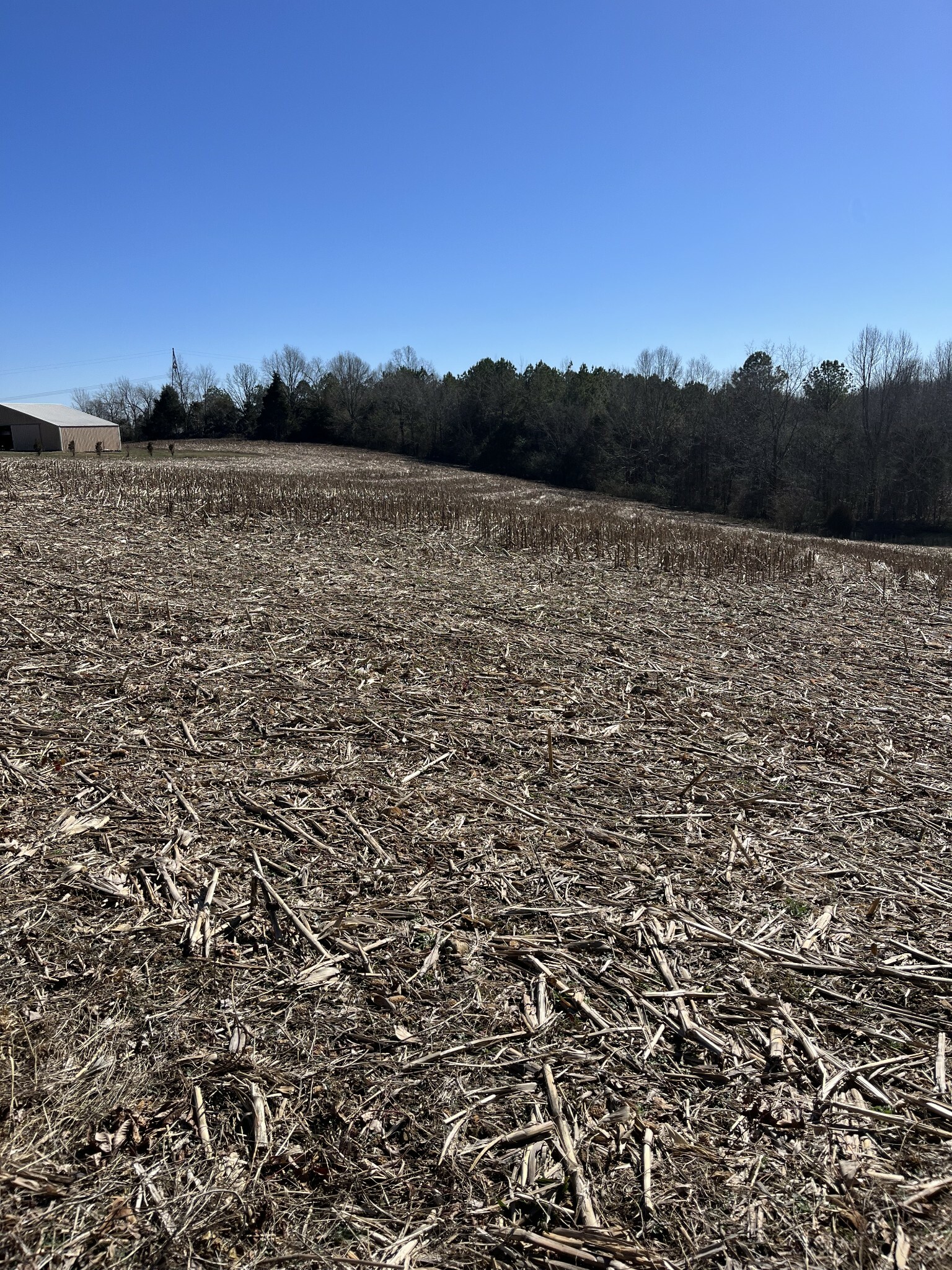 Property Photo:  781 Knob Creek Rd  TN 38464 