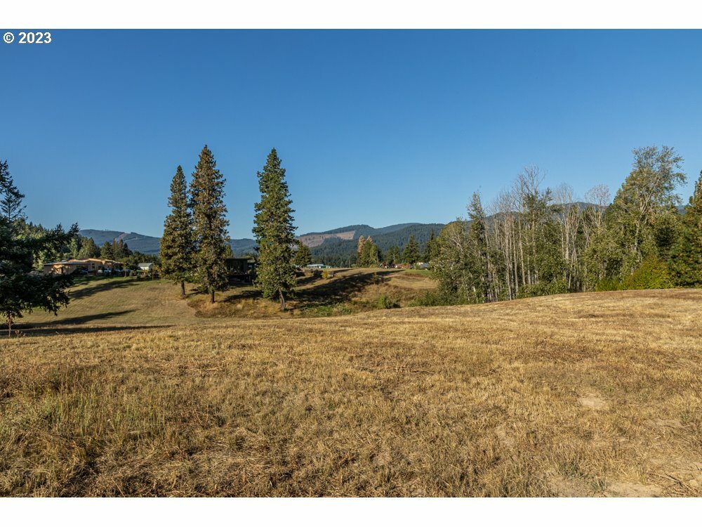 Property Photo:  Lot 8 Husum Greens  WA 98672 