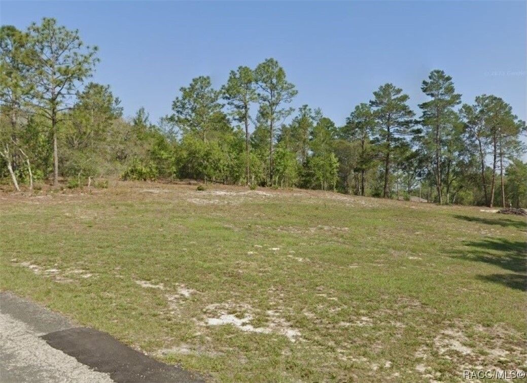 Property Photo: 3921 W Fireside Lane FL 34433