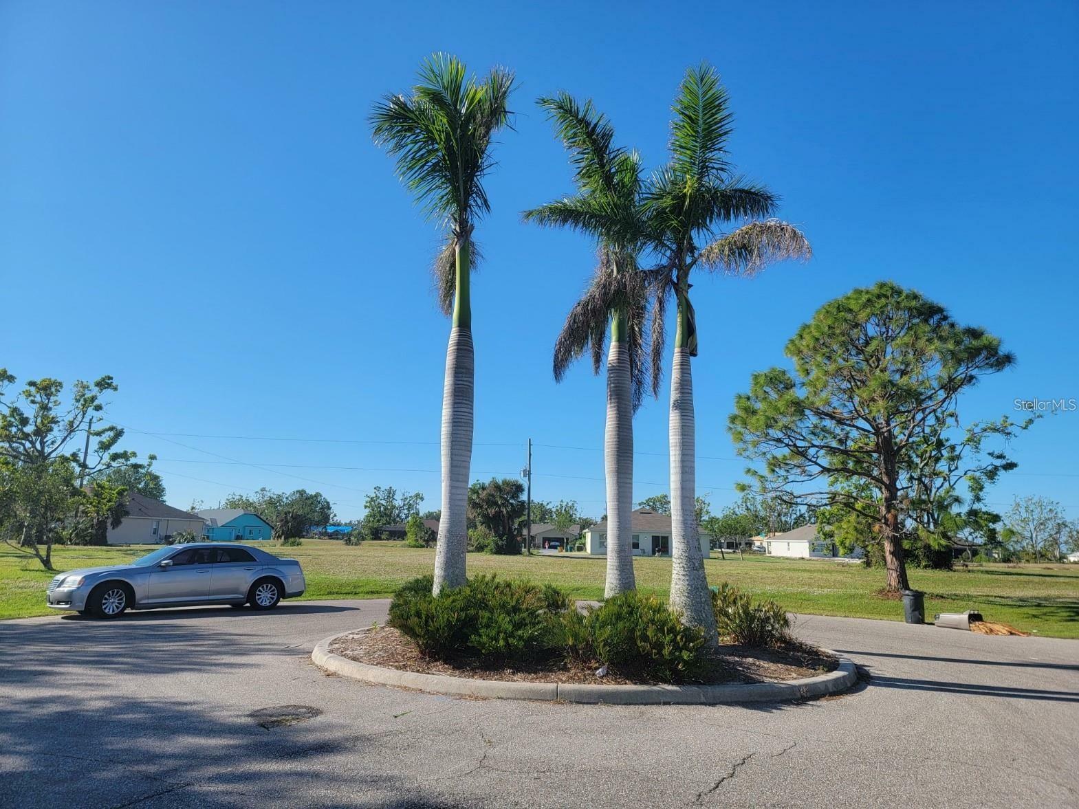 Property Photo:  25172 Cadiz Drive  FL 33955 