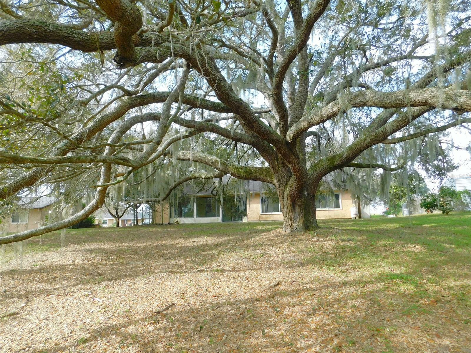 Property Photo:  1021 Hickory Road  FL 34472 