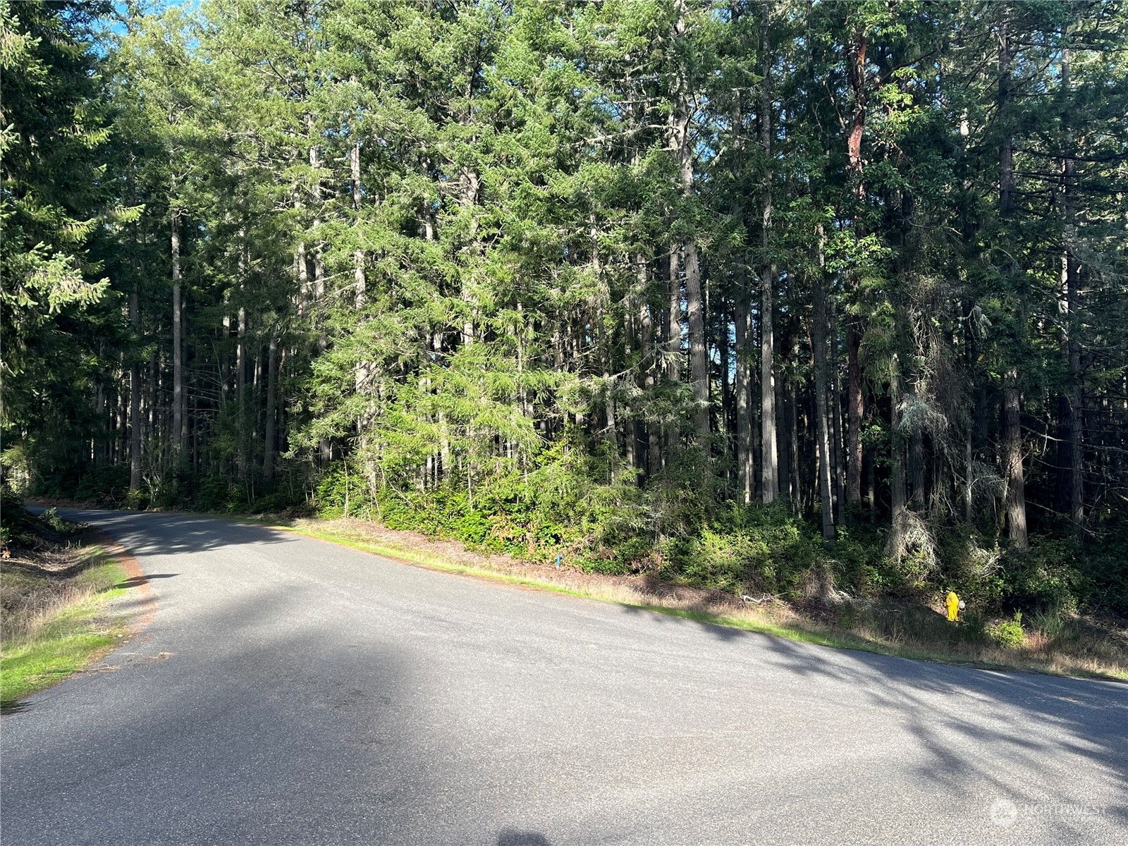 Property Photo: 9119 Eckenstam Johnson Road WA 98303