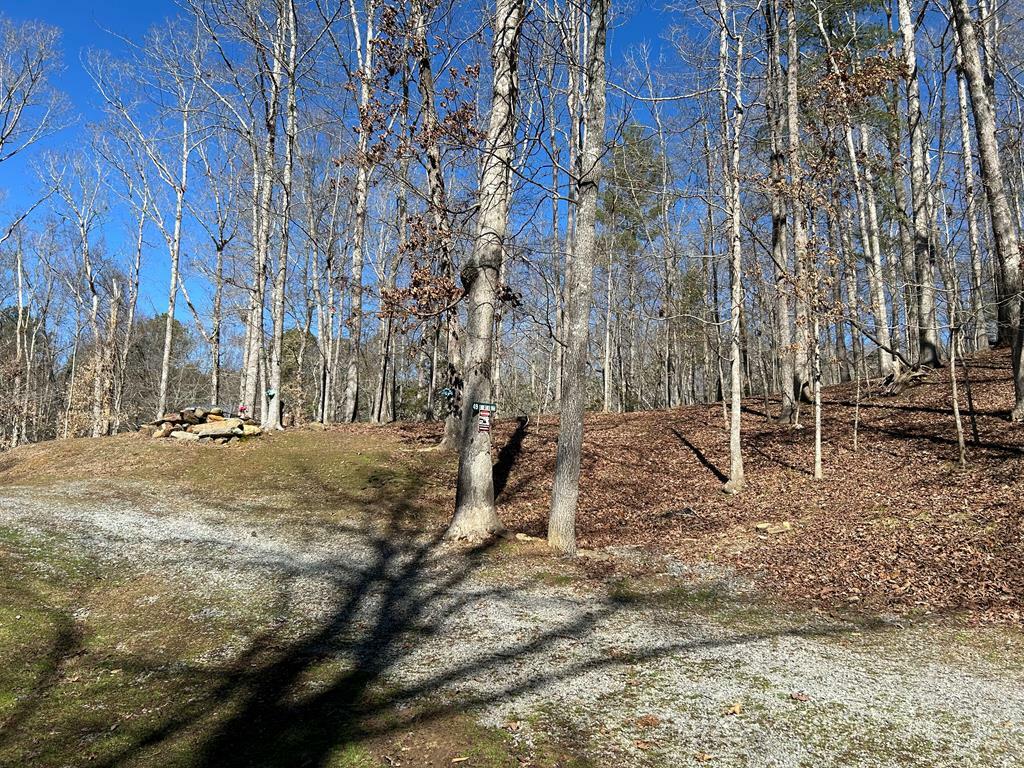 Property Photo: 0 Ecole Court GA 30540