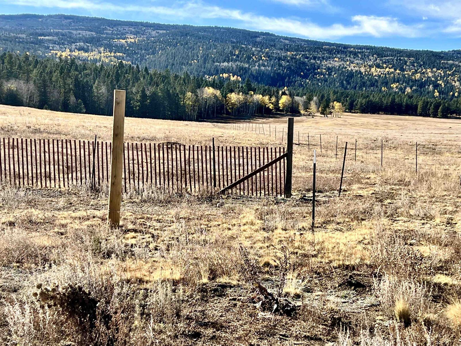 Property Photo:  Lot 18 Laguna Negra Circle  NM 87710 