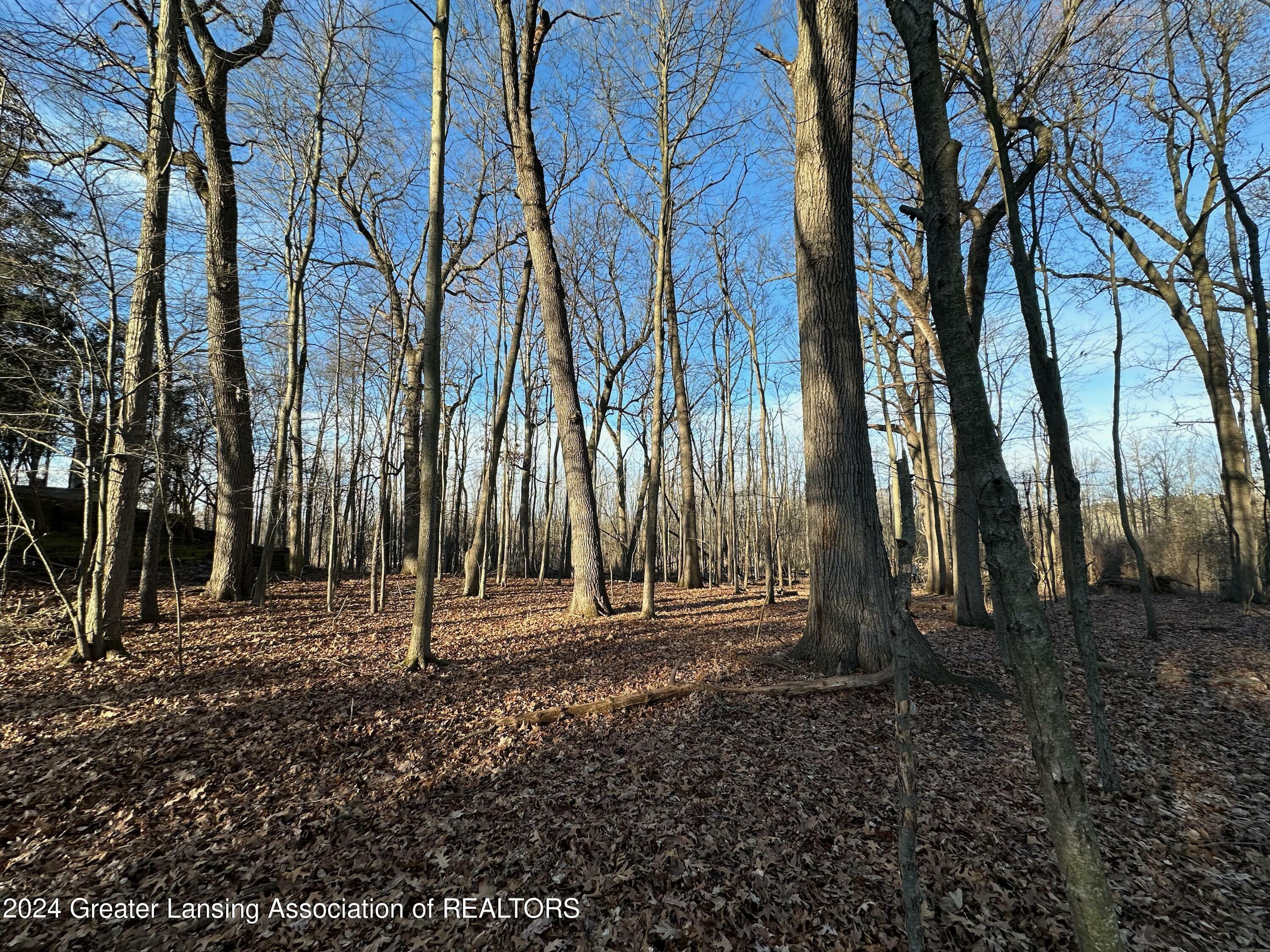 Property Photo:  6445 Pine Hollow - Lot 22 Drive  MI 48823 