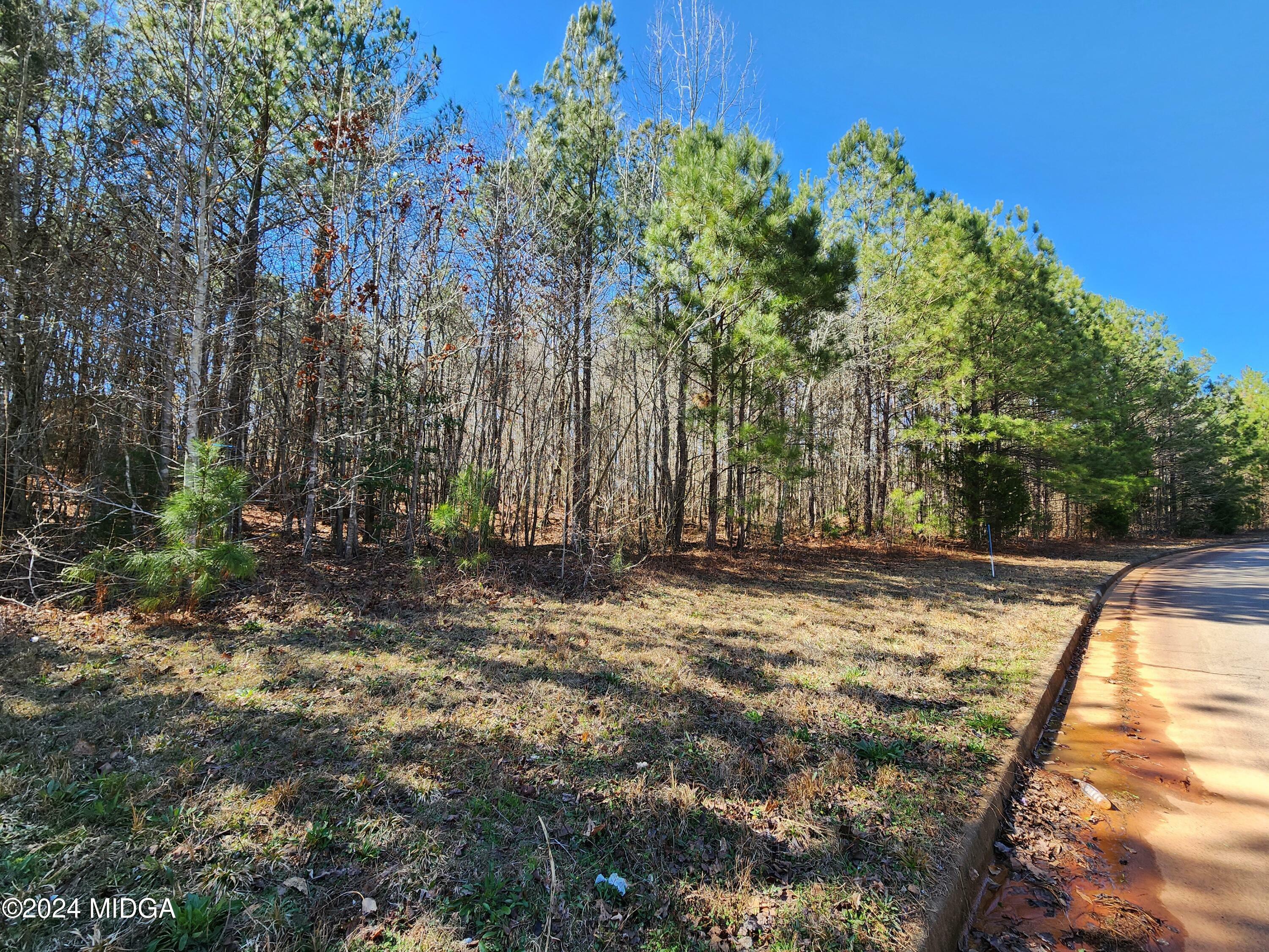 Property Photo:  Lot 63 Beaty Circle  GA 30216 