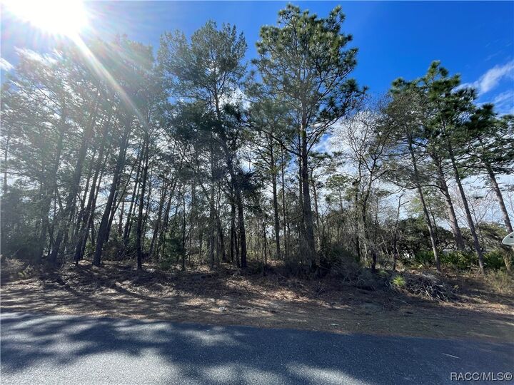 Property Photo:  7090 N Outrigger Terrace  FL 34433 