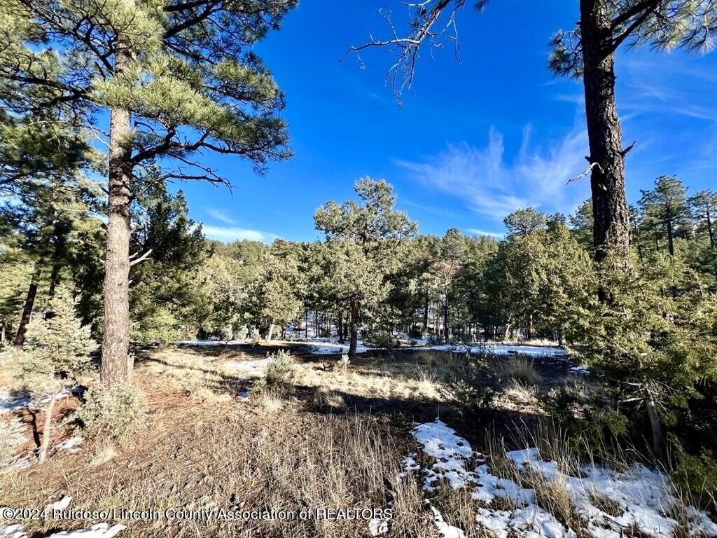 Property Photo:  Lot 154 Del Monte Drive  NM 88312 