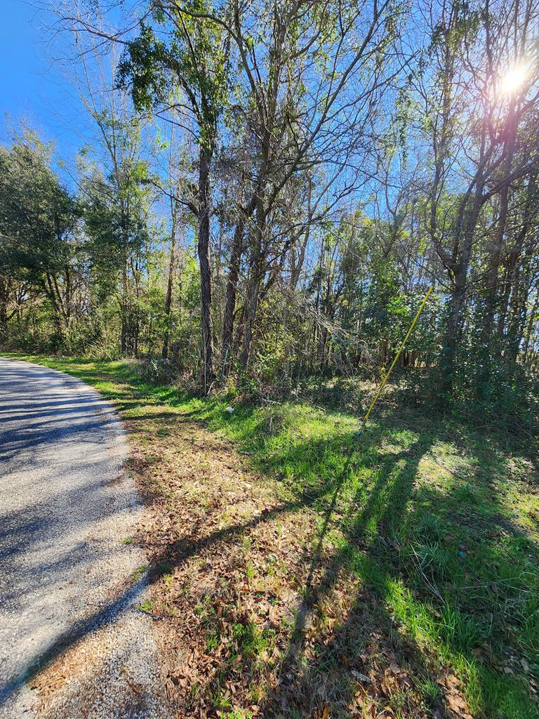 Property Photo:  Evening Shade Dr  SC 29148 