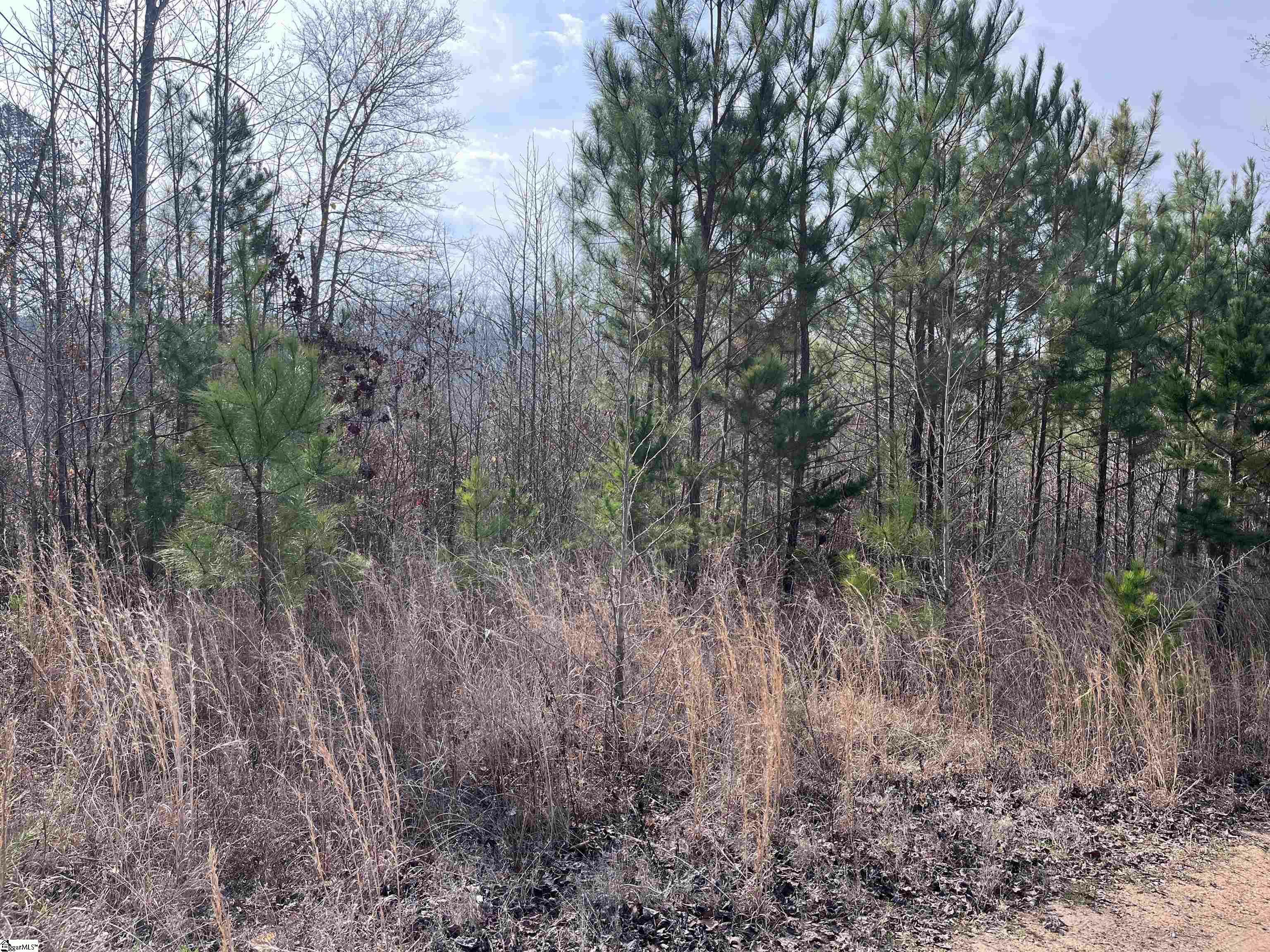 Property Photo:  0 S Lakeview Drive Lot 23  SC 29643 