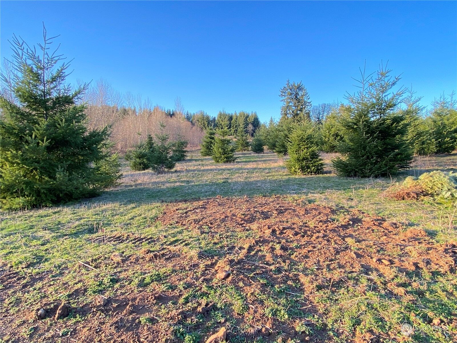 Property Photo: 0 Lot 1 Brockway Road WA 98532