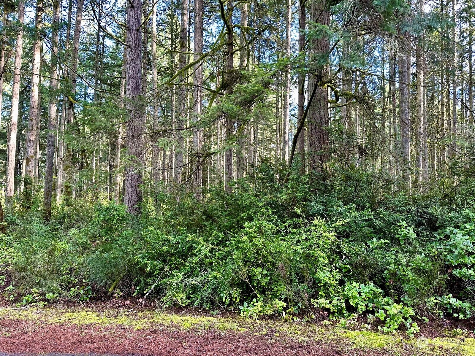 Property Photo:  11708 Canal Place  WA 98303 
