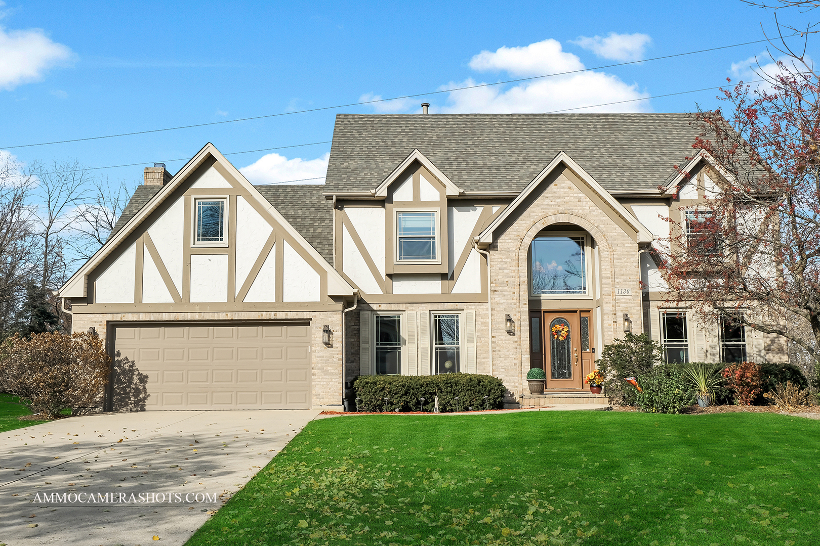 Property Photo:  1130 Ridgewood Drive  IL 60185 