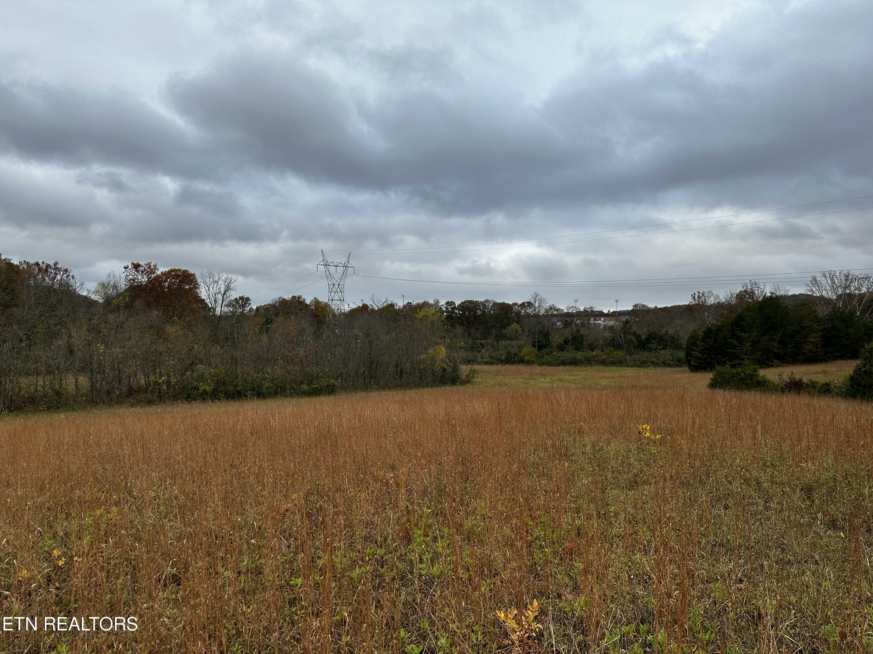 Property Photo:  Tipton Station Rd  TN 37920 