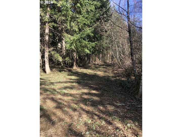 0 NE 341st Ave  Washougal WA 98671 photo