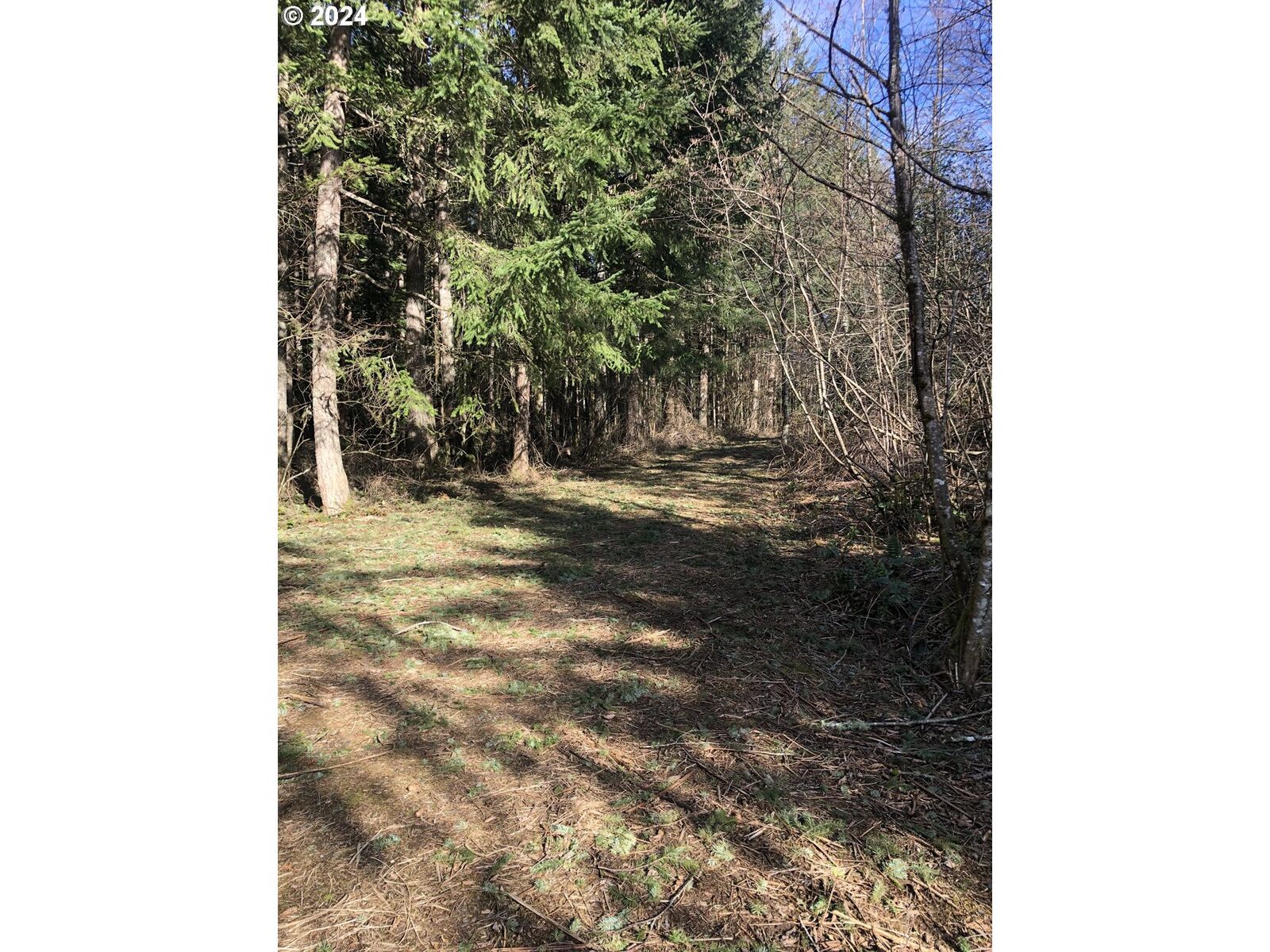 Property Photo: 0 NE 341st Ave WA 98671