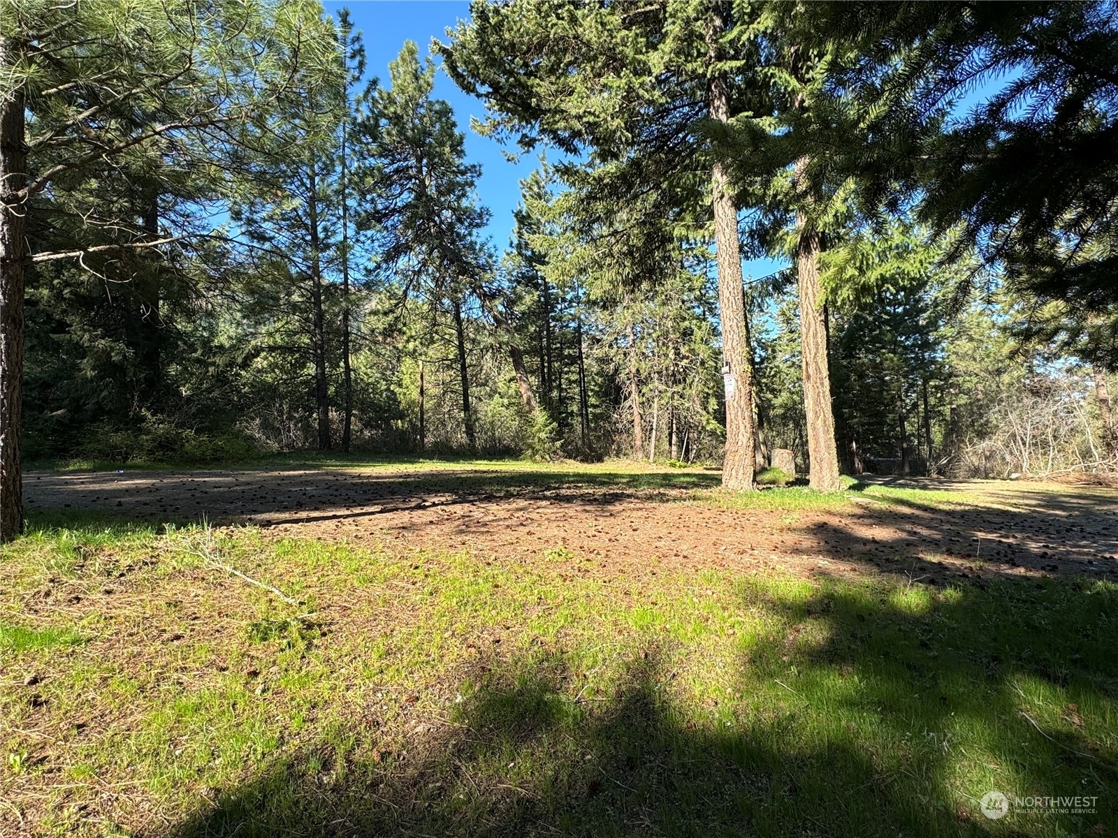 Property Photo:  243 Bull Elk Road  WA 98922 