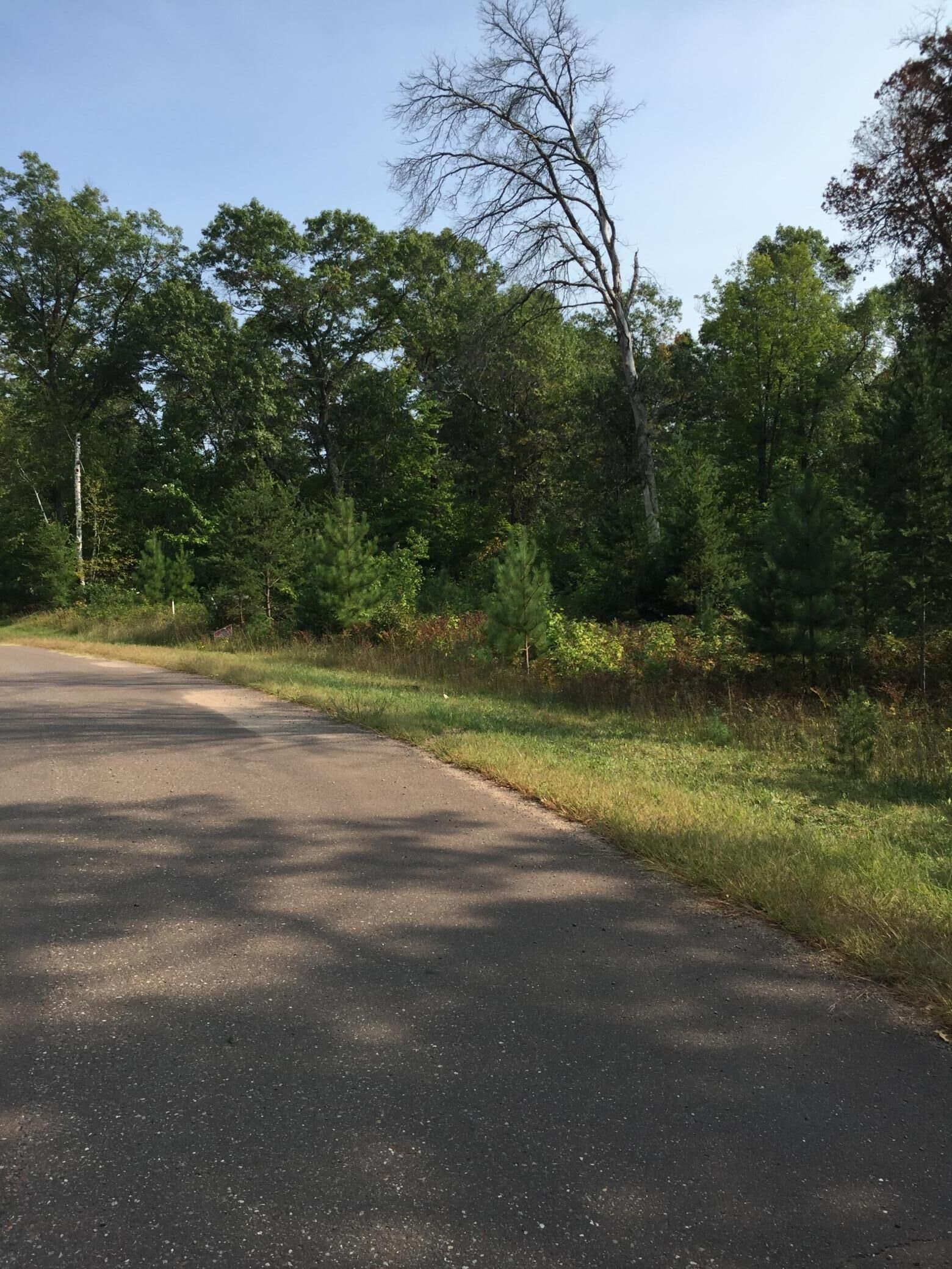 Property Photo: Lot 14 Shady Lane WI 54872