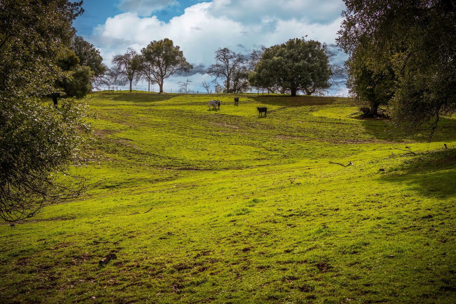 Property Photo:  15660 Jesus Maria Road  CA 95245 