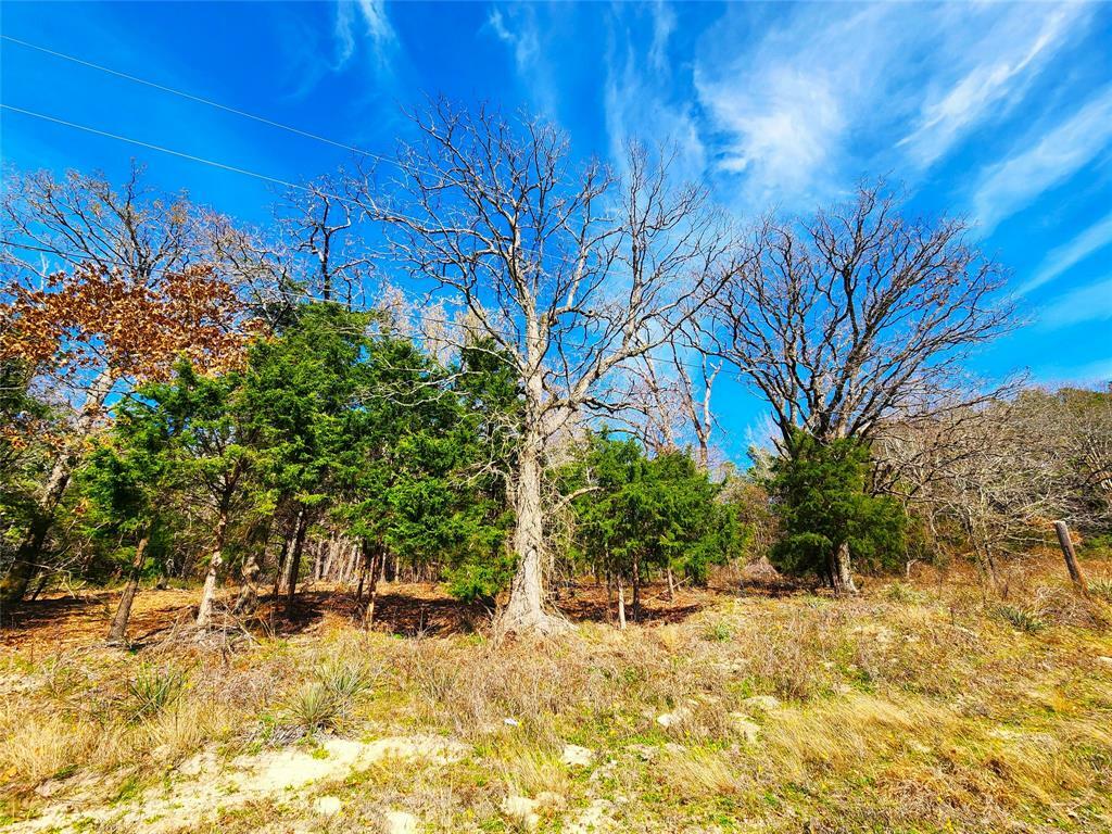 Property Photo:  Lot 463 US-175  TX 75770 