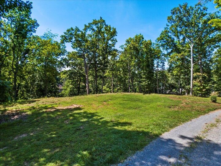 Property Photo: Tbd Allison Drive VA 24347
