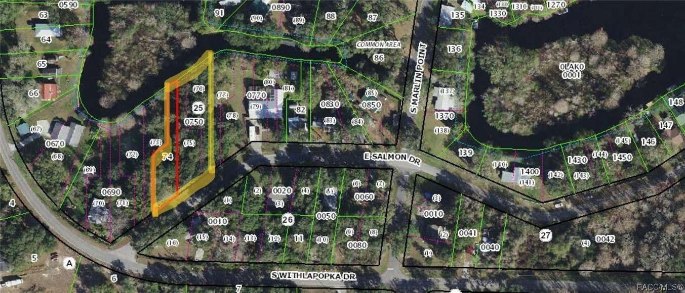 Property Photo:  11117 & 11135 E Salmon Drive  FL 34436 