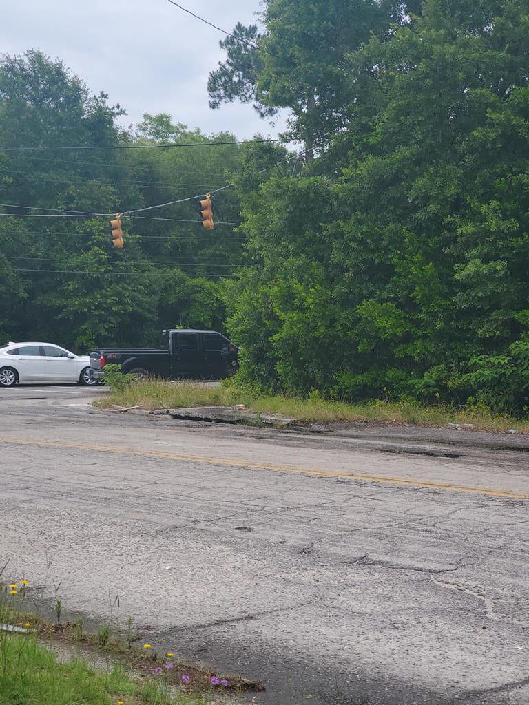 Property Photo:  Green Swamp Rd  SC 29150 