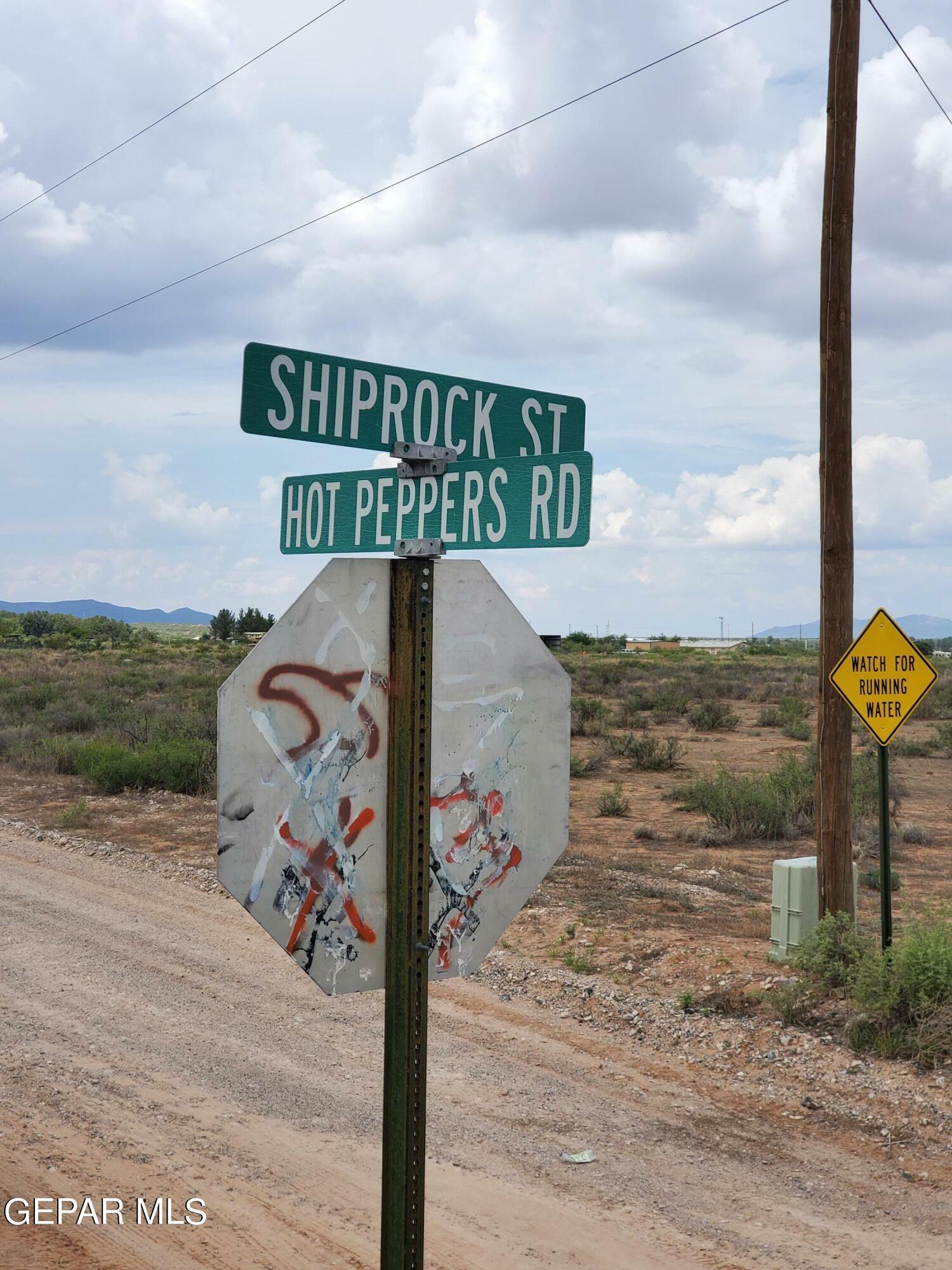 Property Photo:  2080 Hot Peppers Road  NM 88081 
