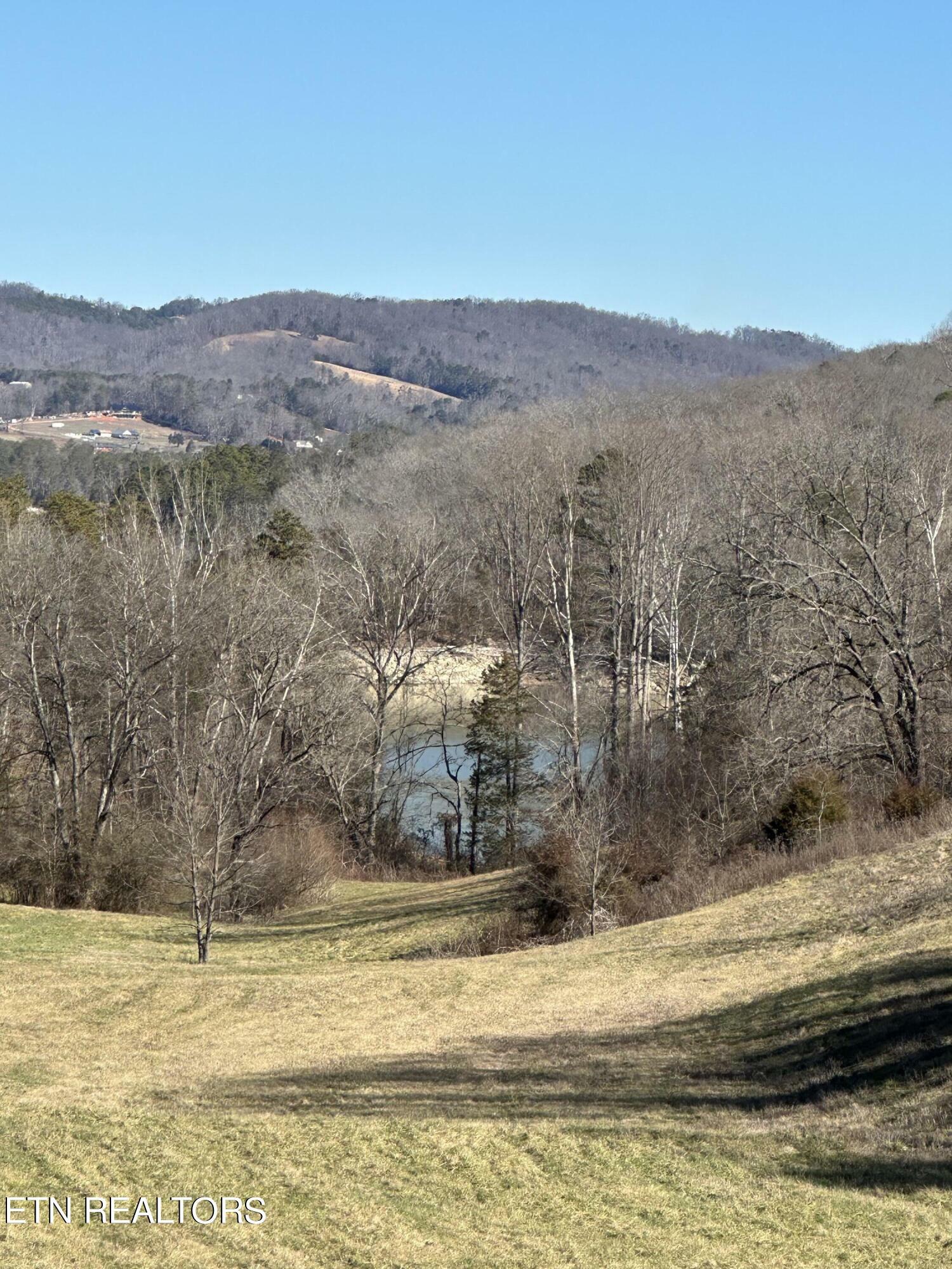 Bob Wright Rd Lot 41 Rd  Maynardville TN 37807 photo