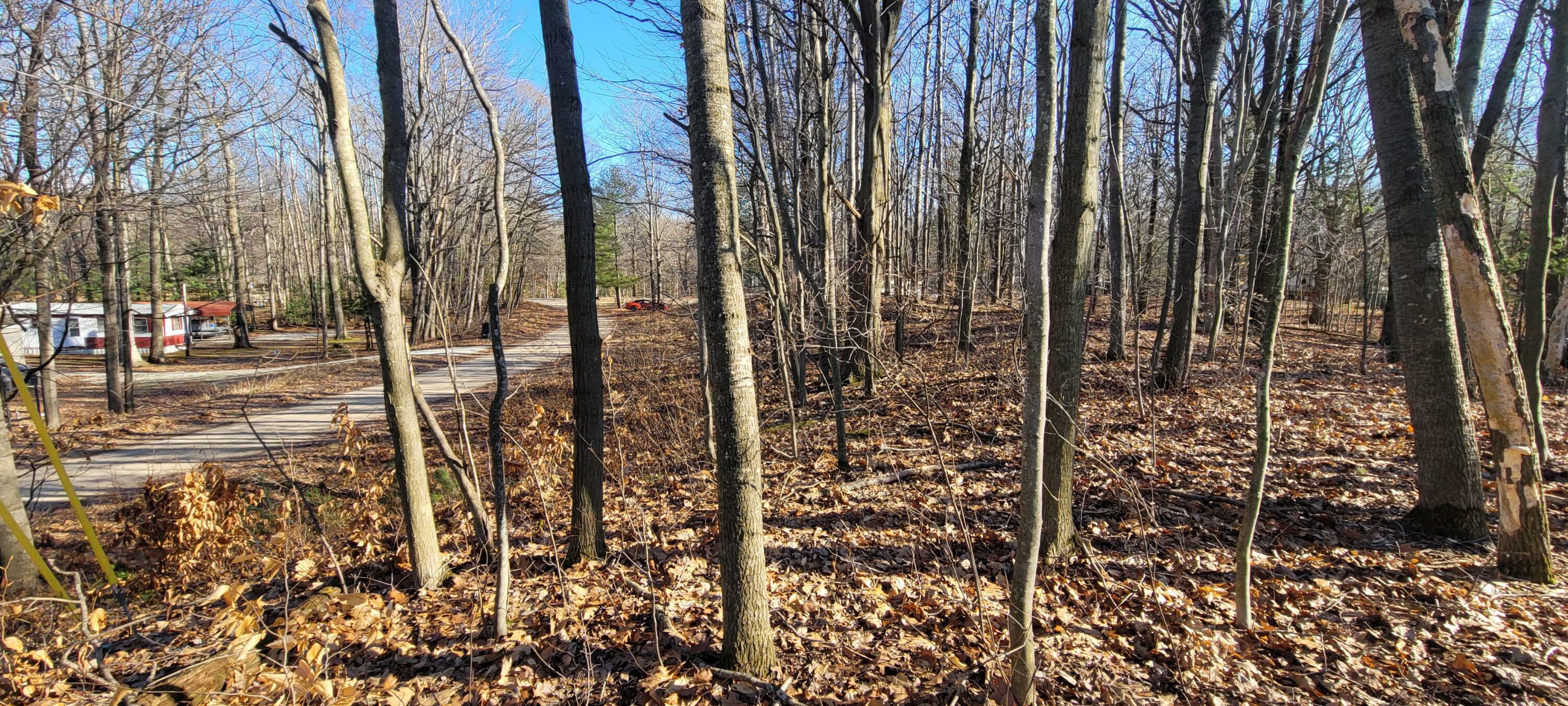 Property Photo:  0 W Wildridge Road  MI 49436 