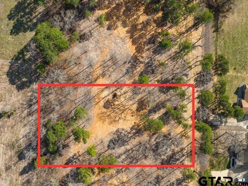 Property Photo:  Lot 2 County Road 2540  TX 75773 