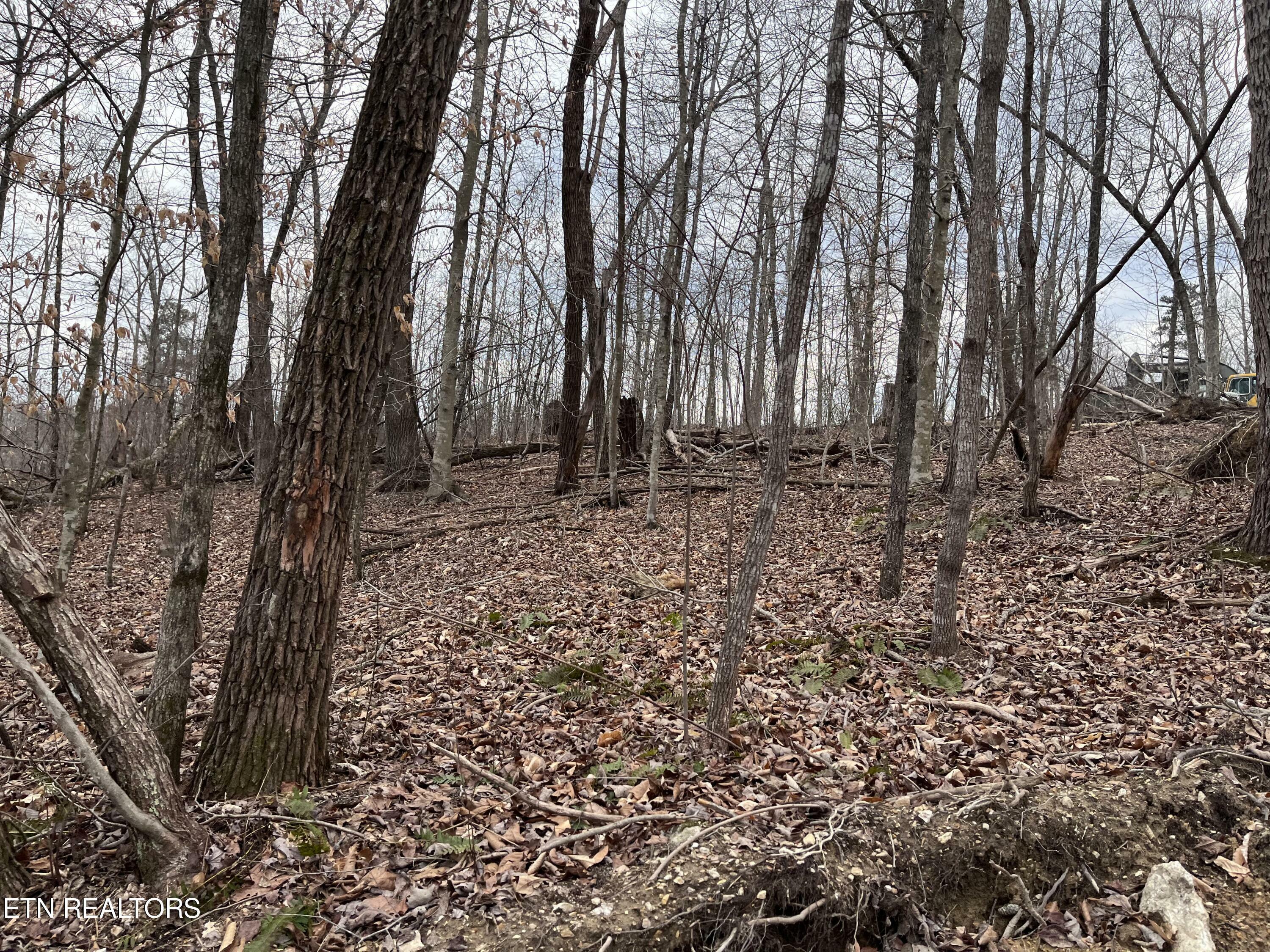 Property Photo:  Little Sycamore Rd  TN 37879 