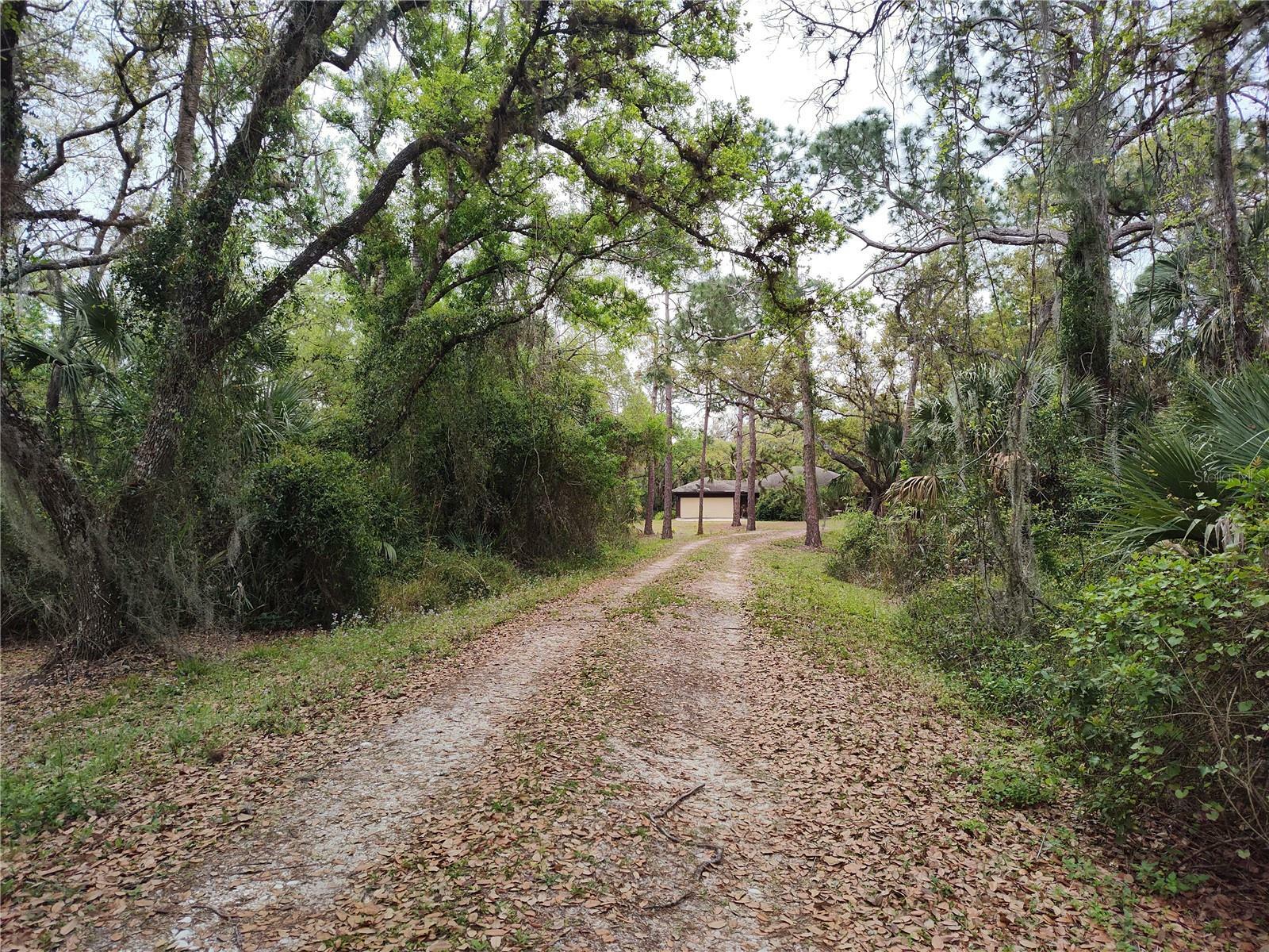 Property Photo:  5826 SE County Road 763  FL 34266 