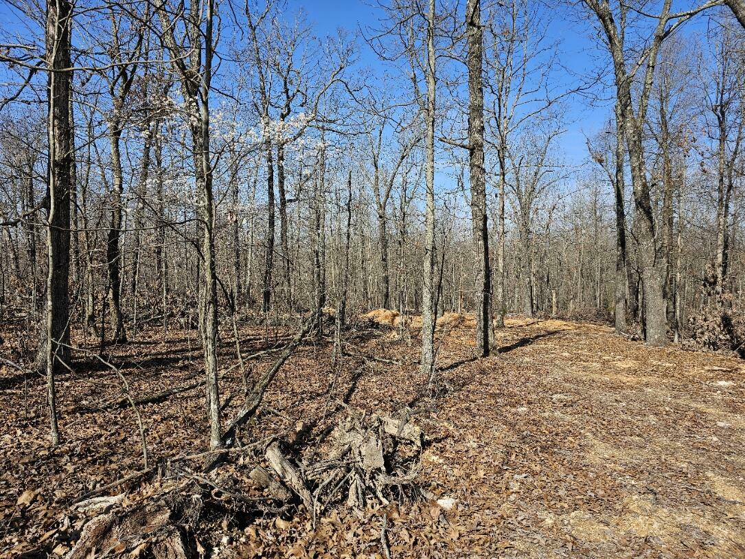 Property Photo:  000 County Road 255  MO 65791 