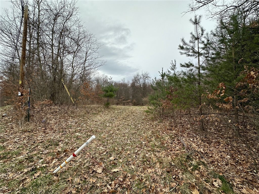 Property Photo: 0 S Geibel Rd PA 16034