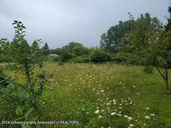 5360 Holt Road  Holt MI 48842 photo