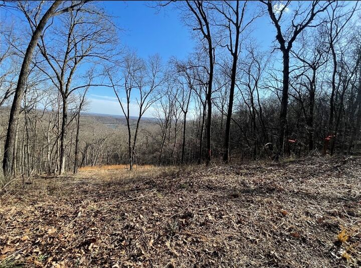 Property Photo:  Ventris Road  AR 72732