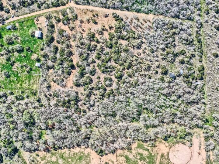 Property Photo: Tbd Royal Drive TX 78616