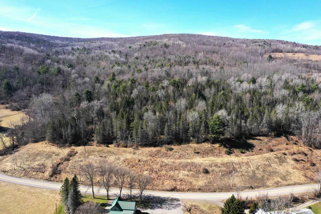 Property Photo:  00 Milwaukee Road  NY 14823 