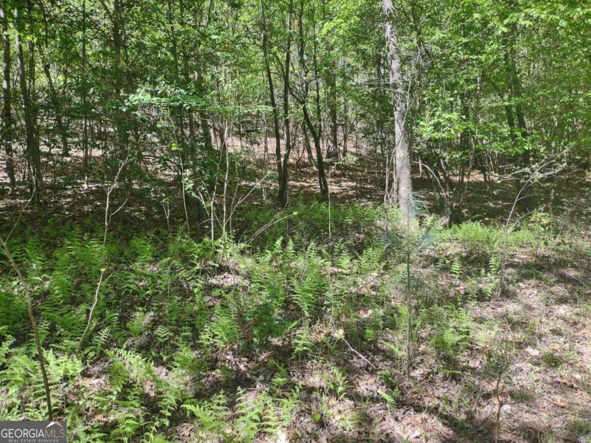 Property Photo:  Lot 32 Northshore Drive  GA 30512 