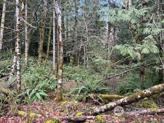 Property Photo:  0 Harmon Road  WA 98522 