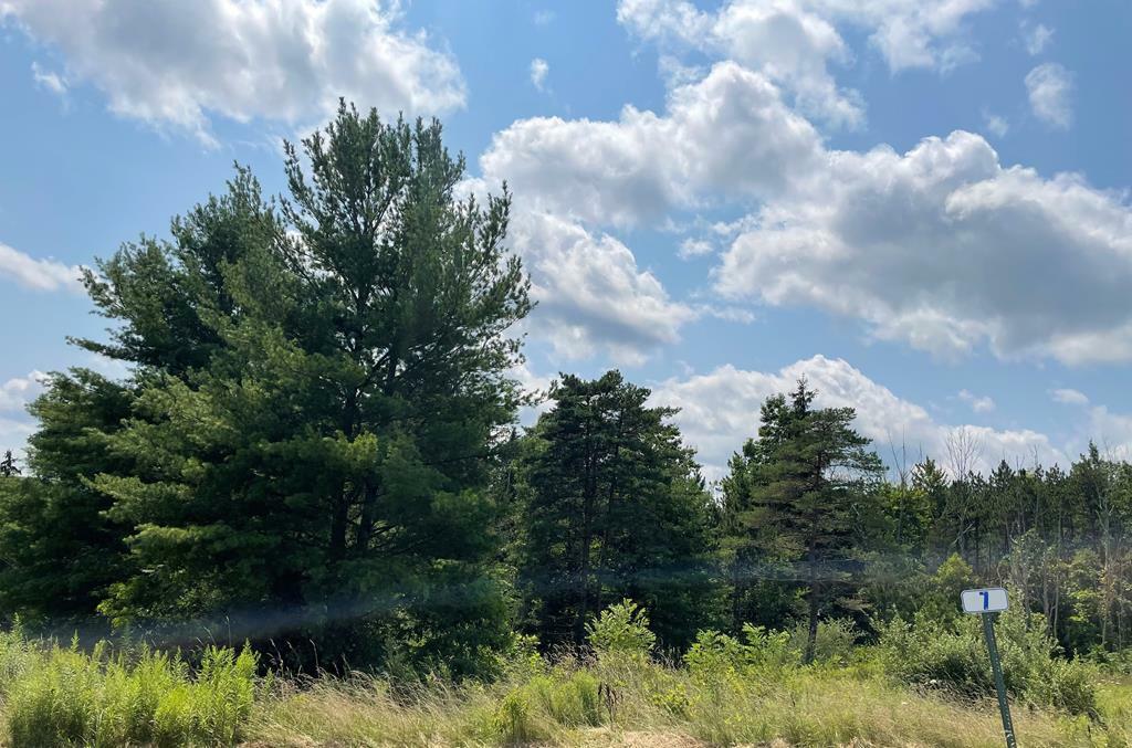 Property Photo:  Lot 7 Hemlock Hills Rd  PA 18848 