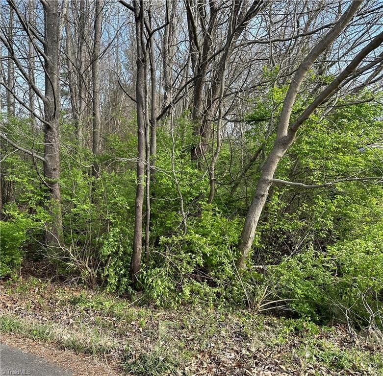 Property Photo:  229 McTavish Lane  NC 27103 