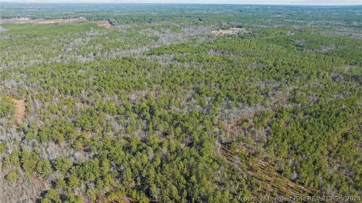 Property Photo:  McKoy Town Off Road Lot 11B  NC 27330 